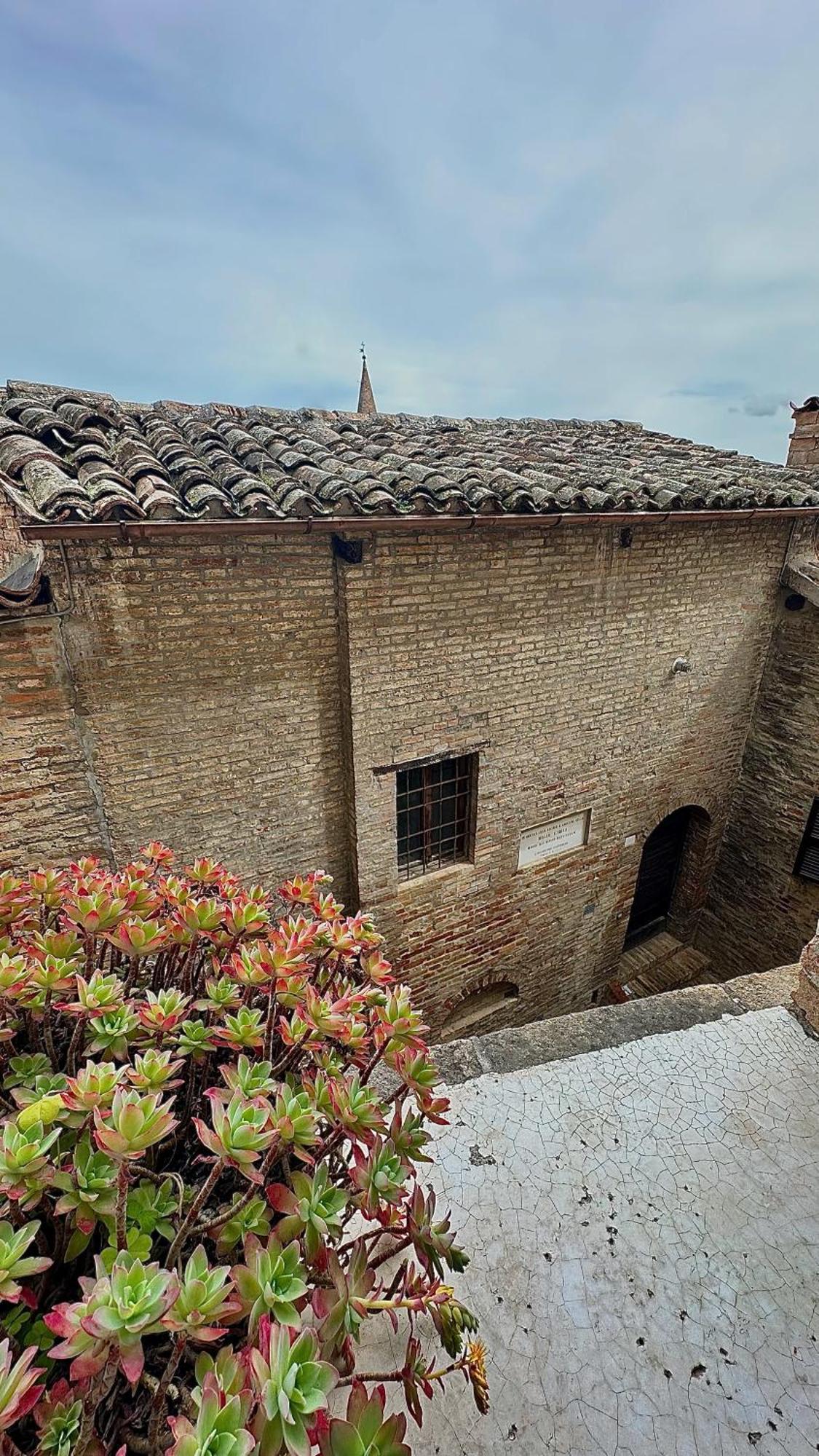 Albergo Hotel Raffaello Urbino Bagian luar foto